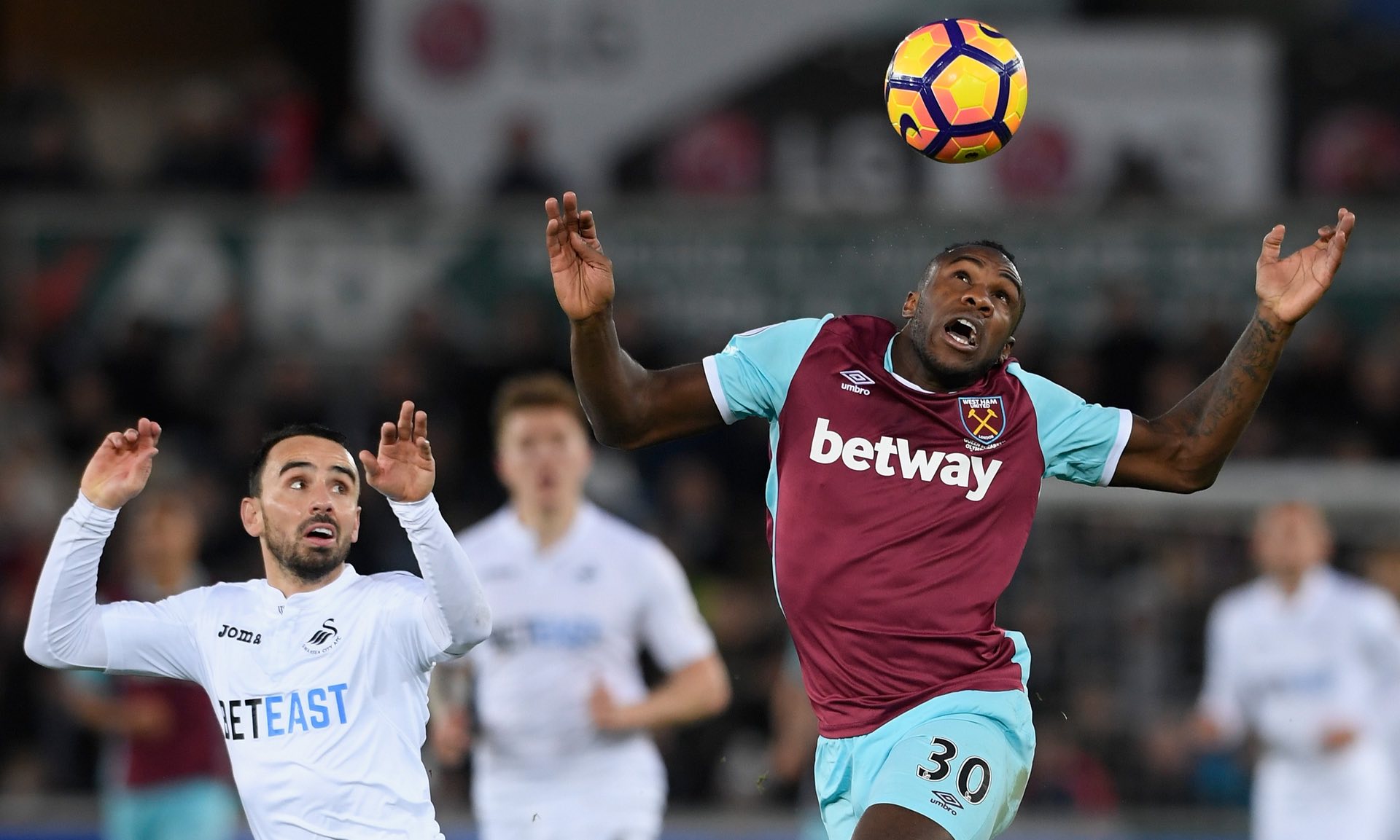 这种乐观不 这种乐观不